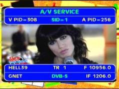 Hellas Sat 2 at 39.0 E _ 10 956 V GNet _ VA pids data